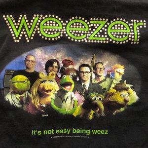 Vintage 2002 Weezer Shirt
